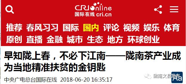 澳门今晚三中三必中一,精准解答、解释与落实 百科 杨