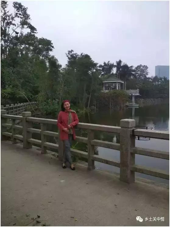 三中三必中一组澳门—聆听大自然的声音,感受生命的律动