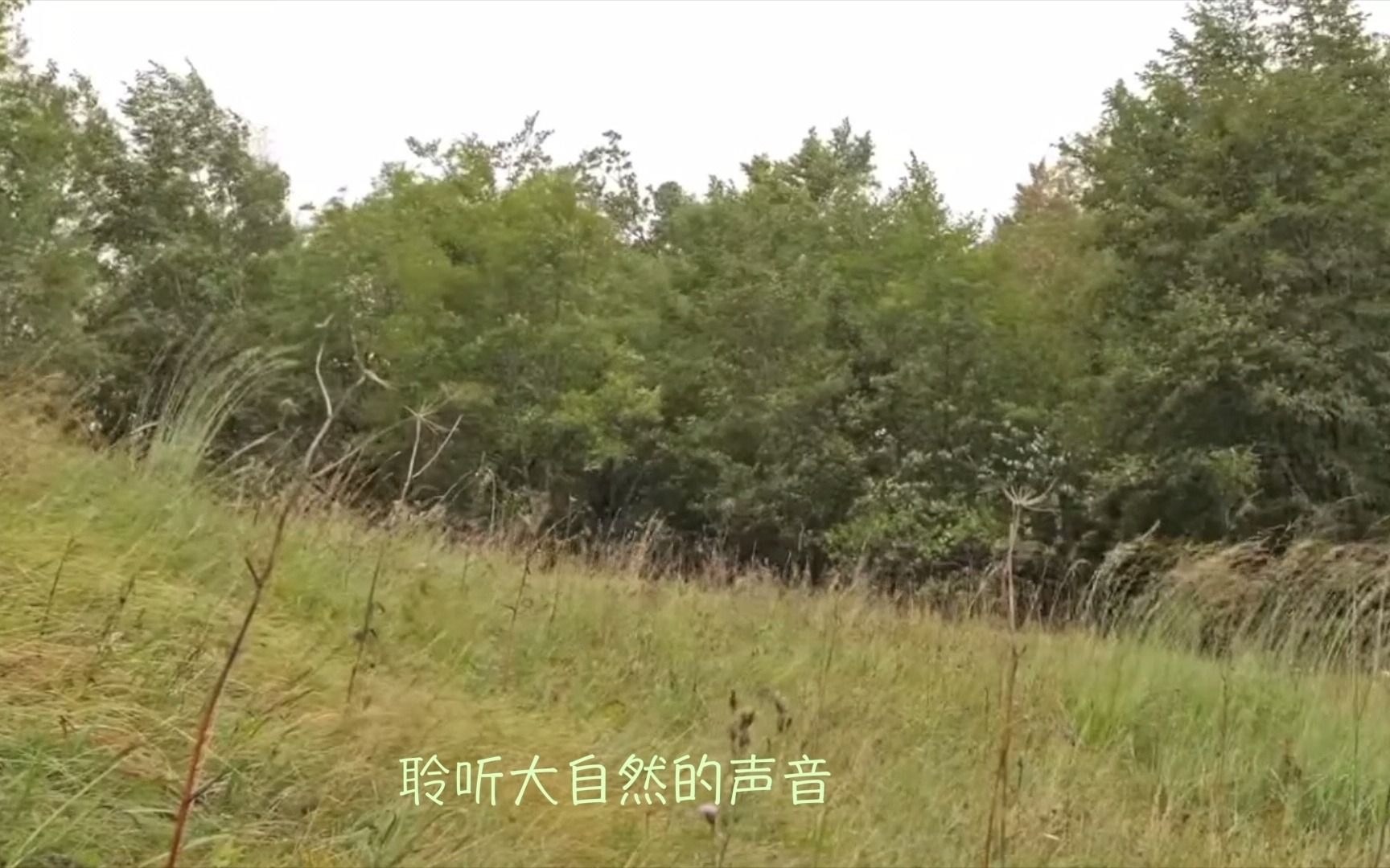 新闻 第26页